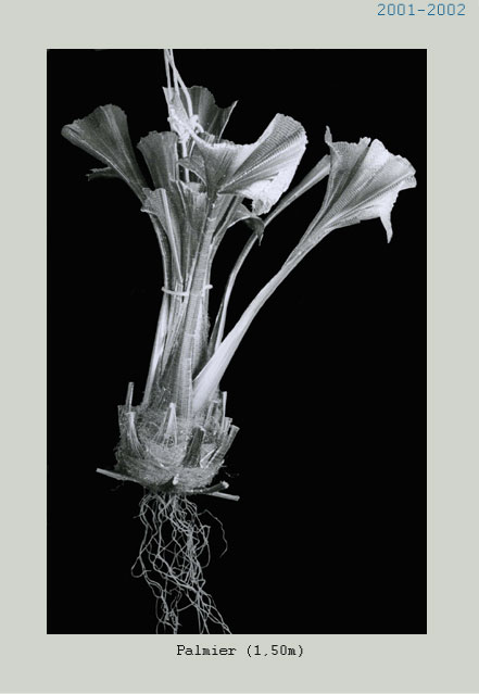 Habitacles 2001-2002