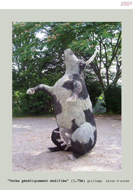 Vaches 2007