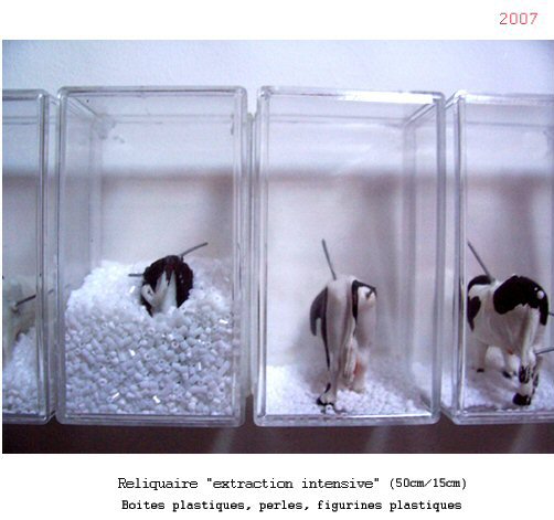 Vaches 2007